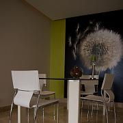 dinning_room_living_room-9